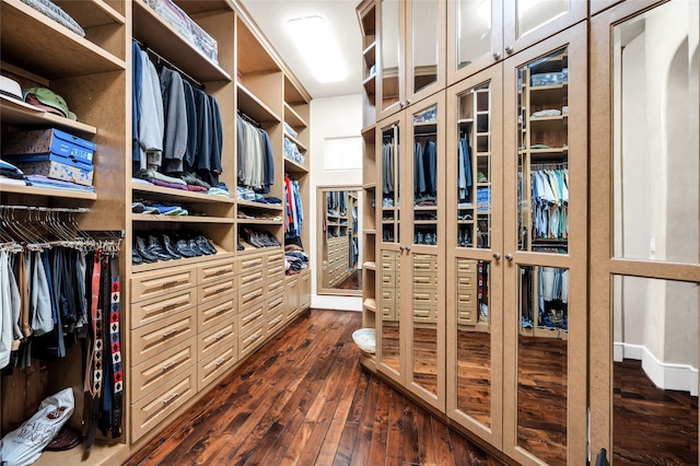 spacious closet with dark hardwood / wood-style flooring