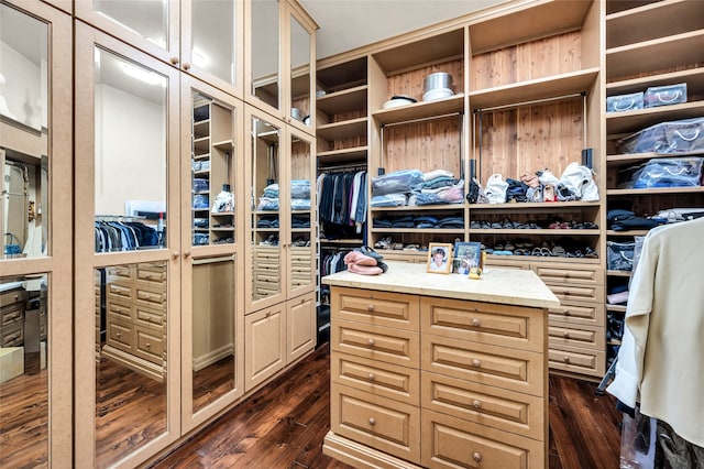 spacious closet featuring dark hardwood / wood-style flooring