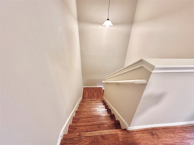 staircase featuring wood-type flooring