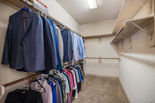 walk in closet featuring carpet