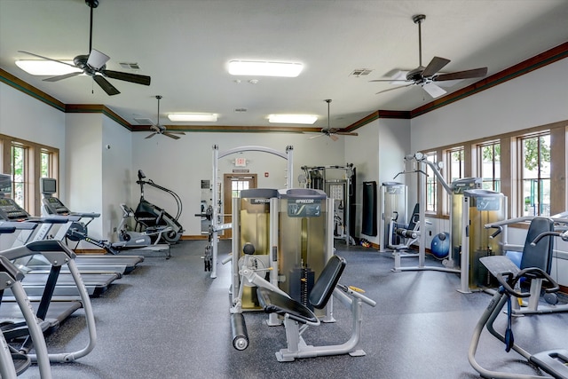 gym with crown molding and plenty of natural light