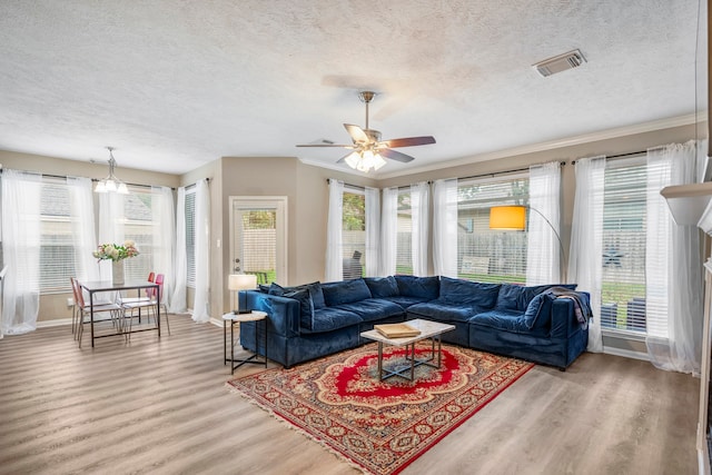 living room with hardwood / wood-style floors, ceiling fan with notable chandelier, a healthy amount of sunlight, and a textured ceiling