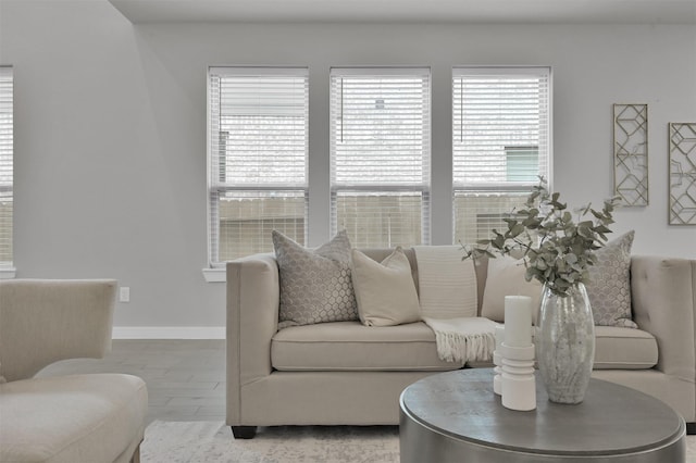 living room featuring hardwood / wood-style flooring