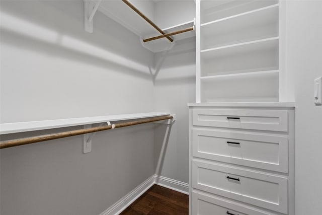 spacious closet featuring dark wood-type flooring