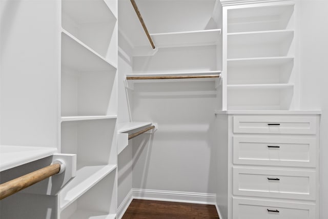 walk in closet featuring dark hardwood / wood-style flooring