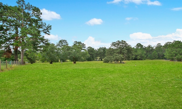 view of yard with a rural view