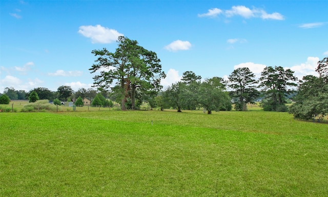 view of yard featuring a rural view