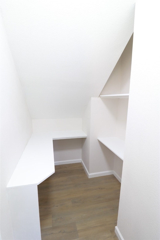 spacious closet featuring dark wood-type flooring