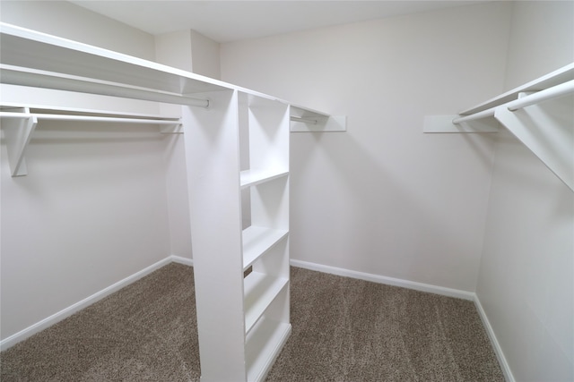 spacious closet featuring dark colored carpet