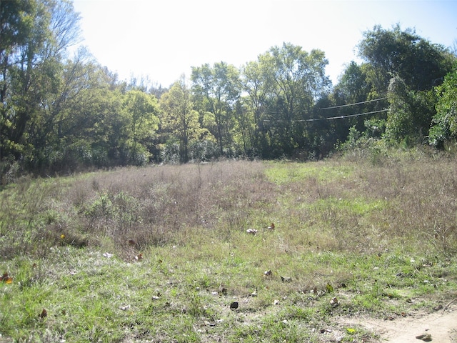 00 Augusta Rd, Grapeland TX, 75844 land for sale