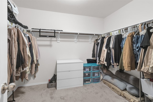 walk in closet with light carpet