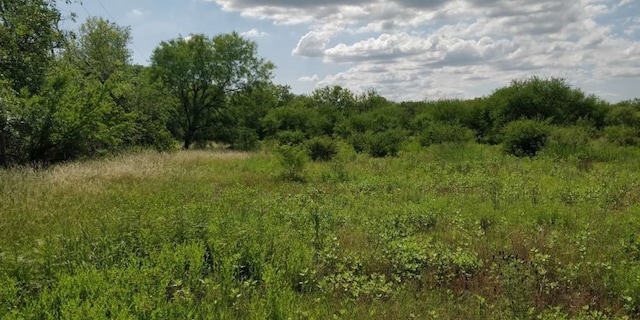 Listing photo 3 for 0 E County Road 678, Natalia TX 78059