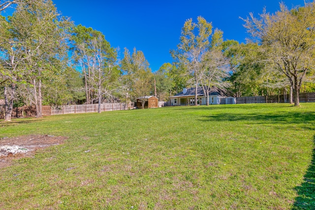 view of yard featuring a storage shed