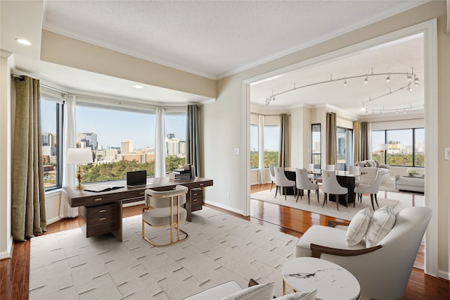 interior space with plenty of natural light and light hardwood / wood-style flooring