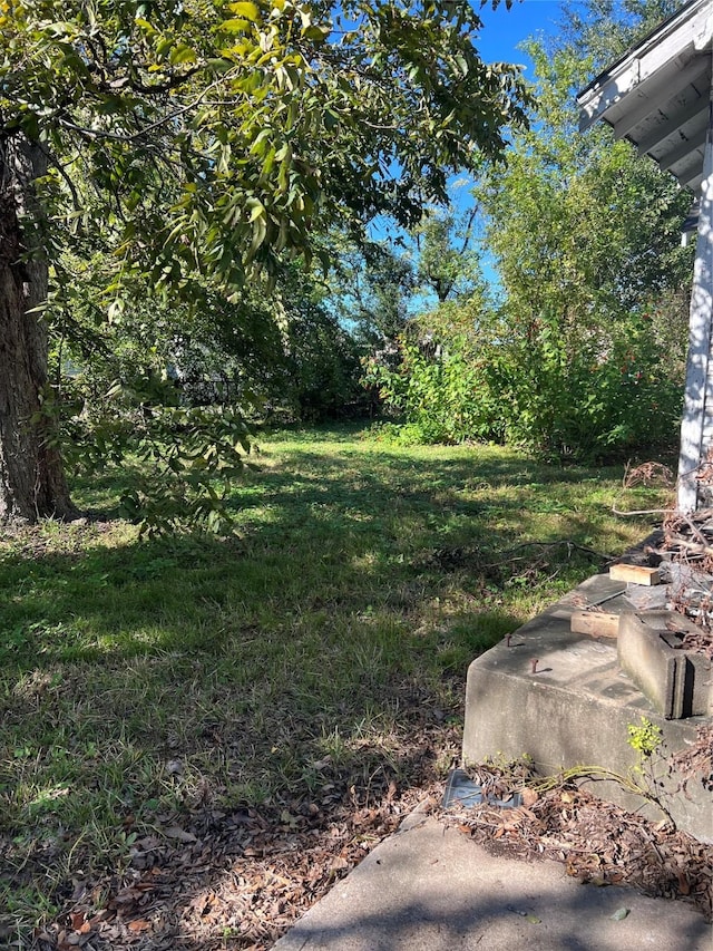 812 Lindale St, Houston, TX 77022 - view of yard