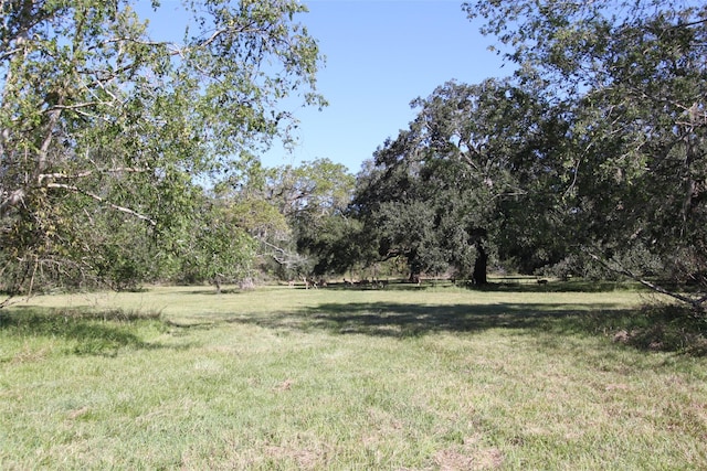 381 Horse Shoe Trl, Angleton, TX 77515 - photo 9