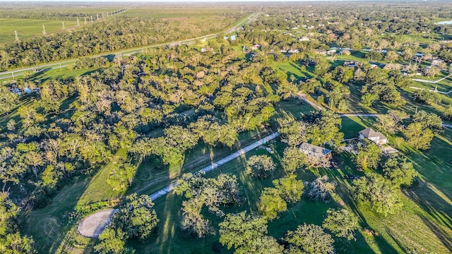 381 Horse Shoe Trl, Angleton, TX 77515 - photo 6