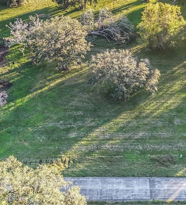 381 Horse Shoe Trl, Angleton, TX 77515 - photo 7