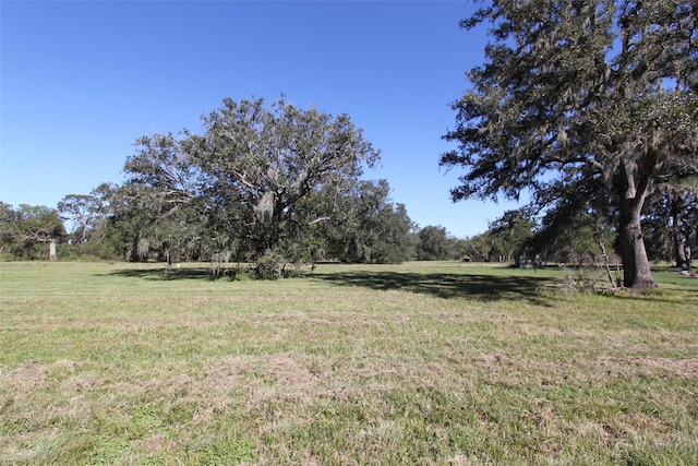 381 Horse Shoe Trl, Angleton, TX 77515 - photo 8