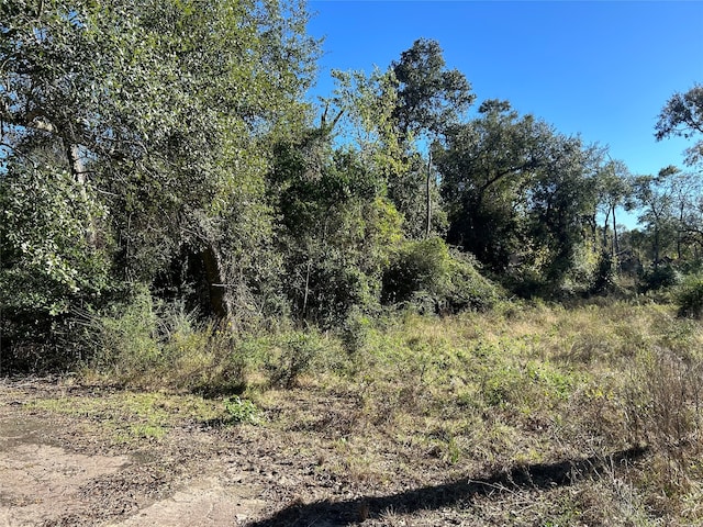 25069 Leitrim St, Hempstead TX, 77445 land for sale