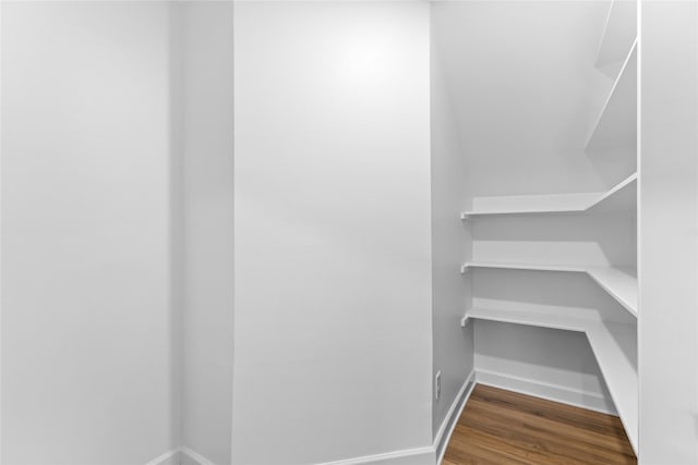 spacious closet with dark wood-type flooring