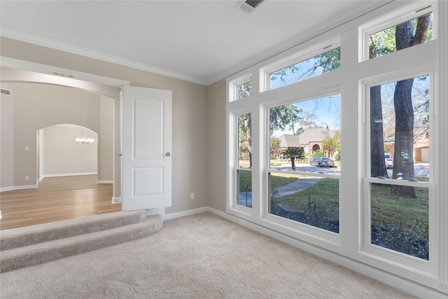 carpeted empty room with crown molding