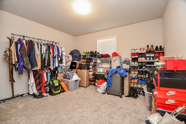 interior space featuring carpet floors