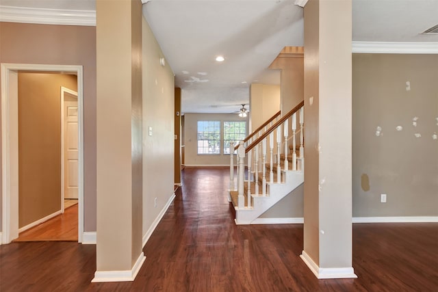 interior space featuring dark hardwood / wood-style floors, ceiling fan, and crown molding