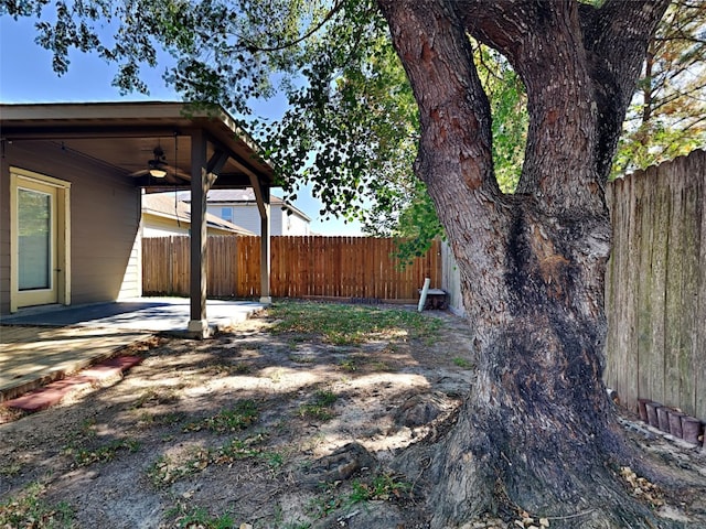 view of yard with a patio area and ceiling fan