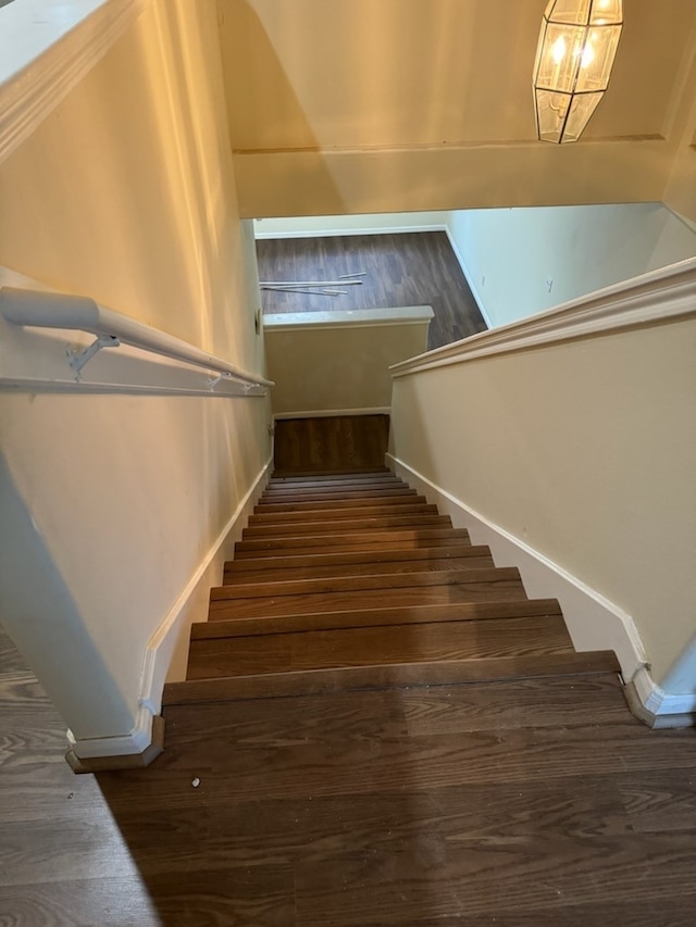 stairway featuring wood-type flooring