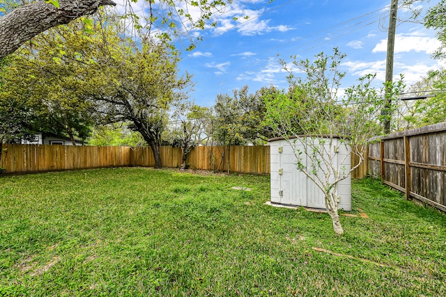 view of yard with a storage shed