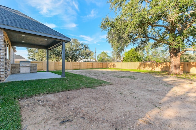 view of yard with a patio area and exterior kitchen