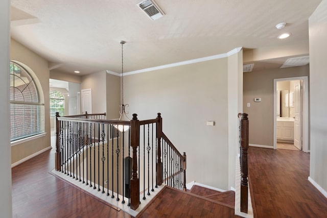 hallway featuring dark hardwood / wood-style floors