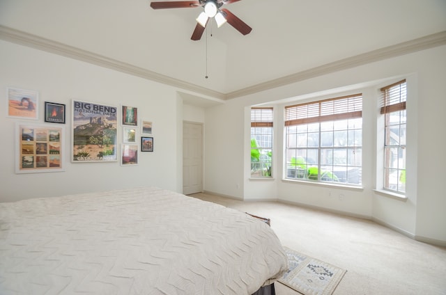 carpeted bedroom featuring ceiling fan and crown molding