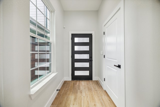 doorway to outside featuring a healthy amount of sunlight and light hardwood / wood-style floors