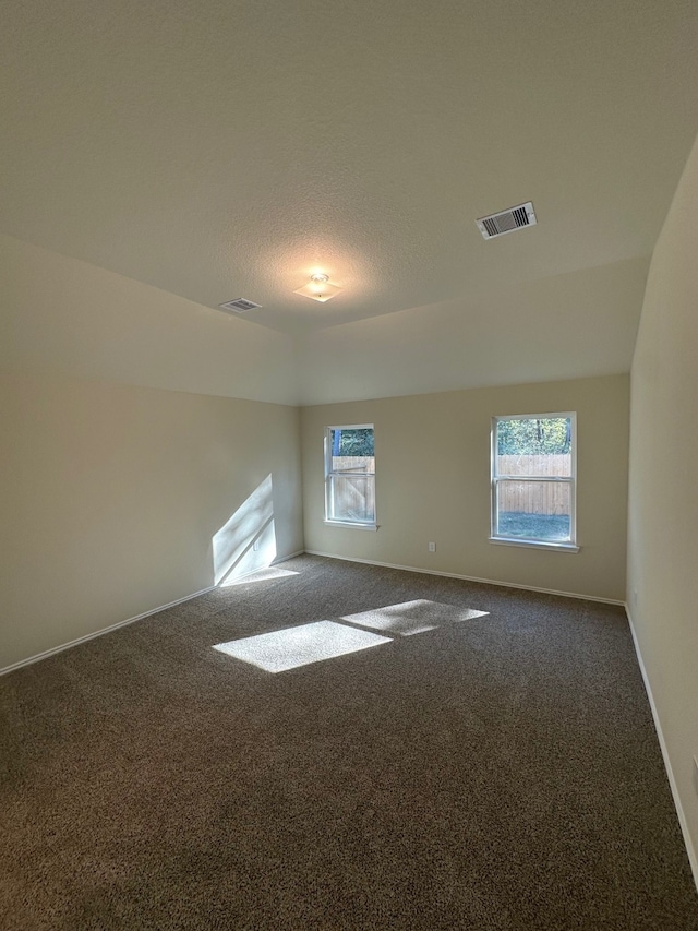 carpeted spare room with lofted ceiling and a textured ceiling