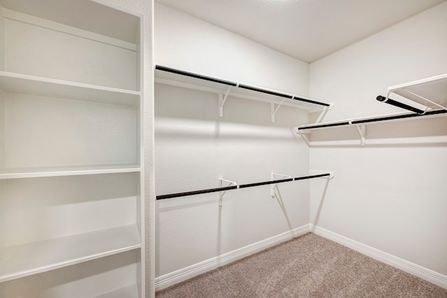 walk in closet with carpet flooring