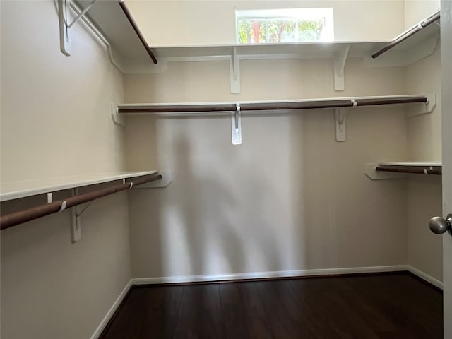 spacious closet with hardwood / wood-style floors