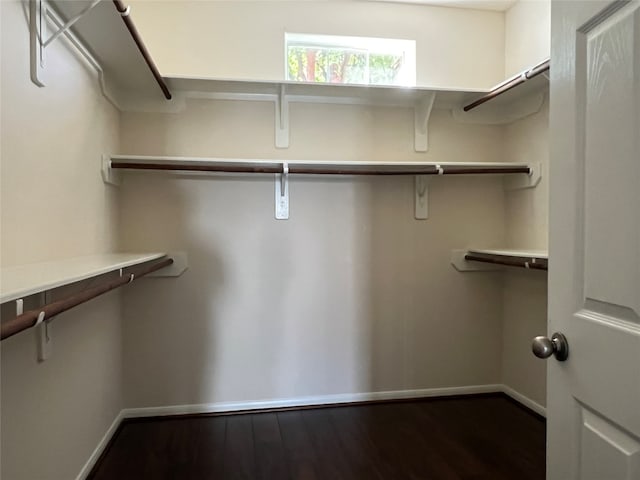 spacious closet featuring hardwood / wood-style floors