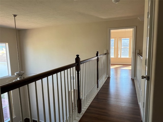 hallway featuring plenty of natural light, dark hardwood / wood-style floors, and a textured ceiling