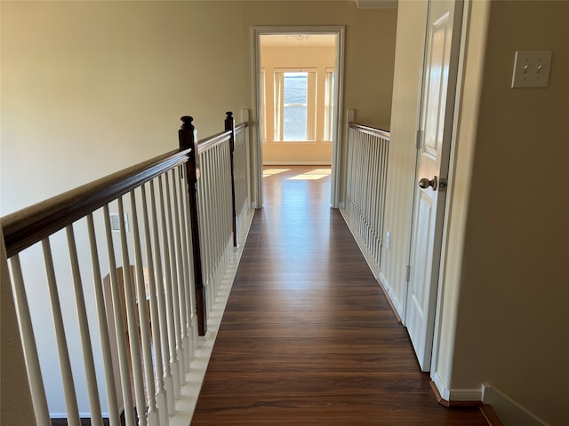 corridor featuring dark hardwood / wood-style flooring