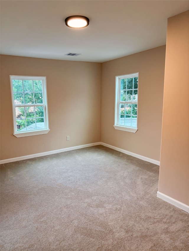 unfurnished room featuring carpet flooring and a wealth of natural light