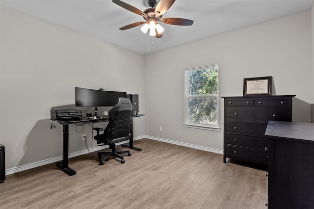 office space with light hardwood / wood-style floors and ceiling fan