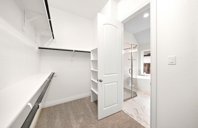 339 Calmato Woods Way, Willis, TX 77318 - walk in closet with carpet