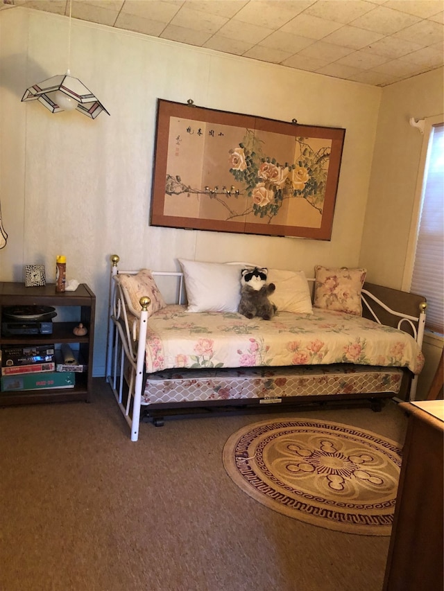 living area featuring carpet floors