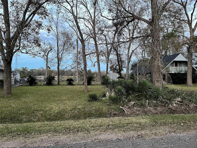 1544 E Taylor Lake Cir, Livingston, TX 77351 - view of yard