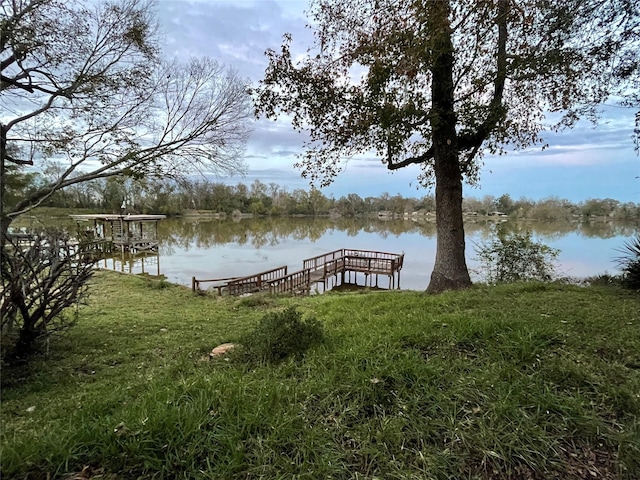 dock area with a water view