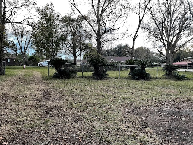 1544 E Taylor Lake Cir, Livingston, TX 77351 - view of yard