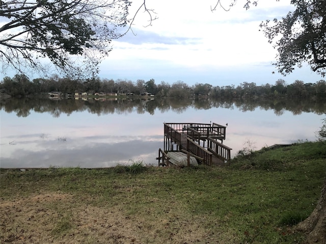 1544 E Taylor Lake Cir, Livingston, TX 77351 - dock with a water view