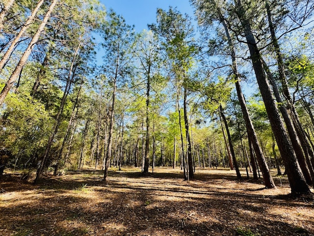 LOT13A Texas Grand Rd, Huntsville TX, 77340 land for sale